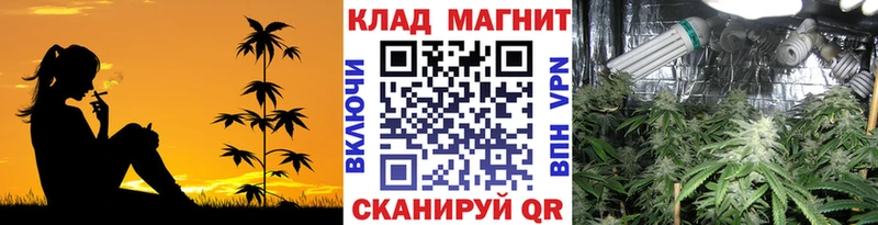 Купить наркоту Западная Двина СК  ГАШИШ  Канабис 