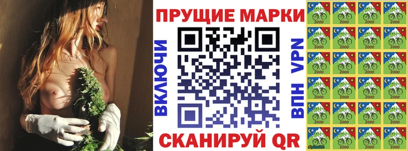 blacksprut как войти  дарнет шоп  Западная Двина  Марки 25I-NBOMe 1,8мг 