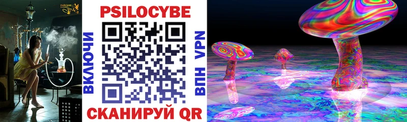 даркнет сайт  Западная Двина  Псилоцибиновые грибы Psilocybe 
